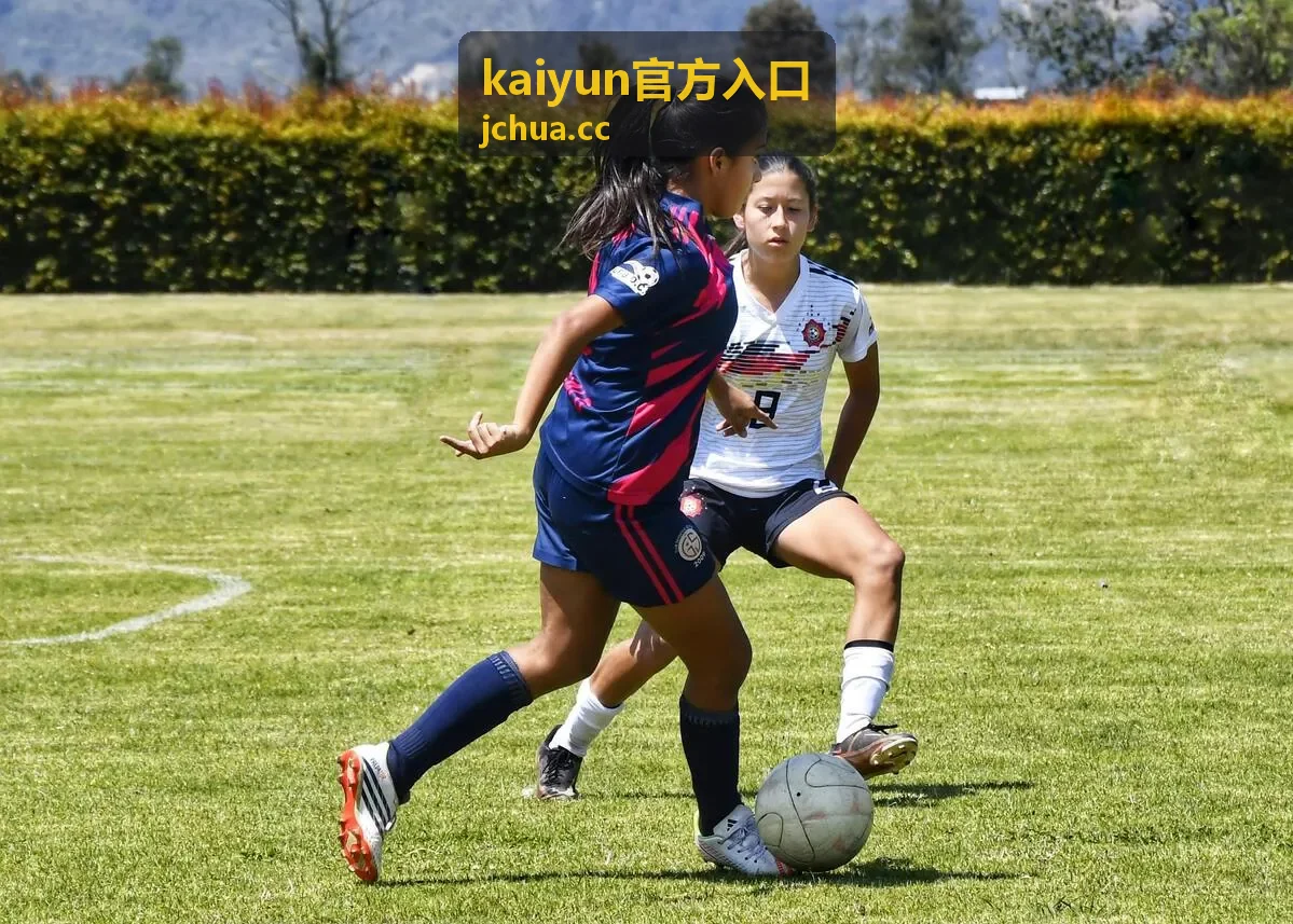 kaiyun官方入口版本号核对方法示意